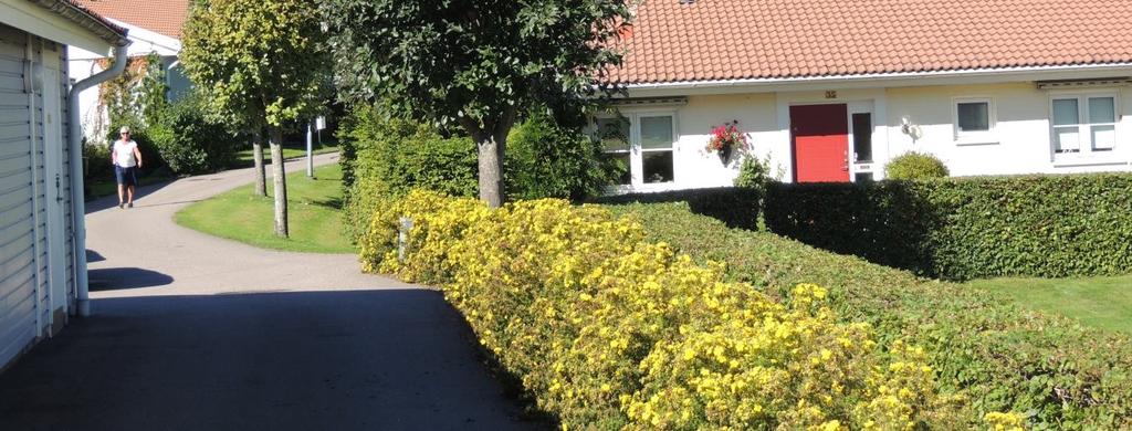 årsredovisning.