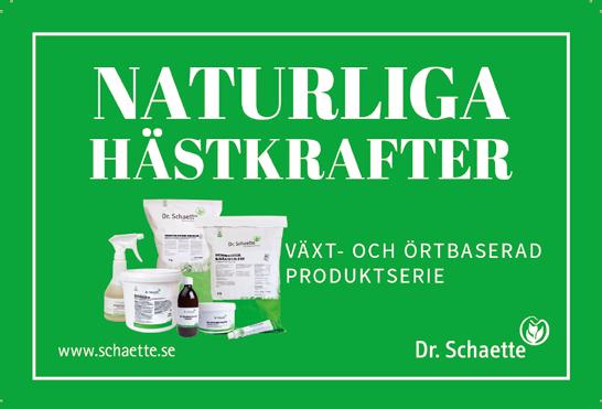 axelparti, vinel och ärmr; vit Lars-e Bergström /- /, c c, ' Thomas Uhrberg (Lars-e Bergström) a Stefan Söervist /- /,a c c, ' GENTO* (NL) :, L *, AK Total: --.,svbr.h.e Quite Easy U.S. - : --.