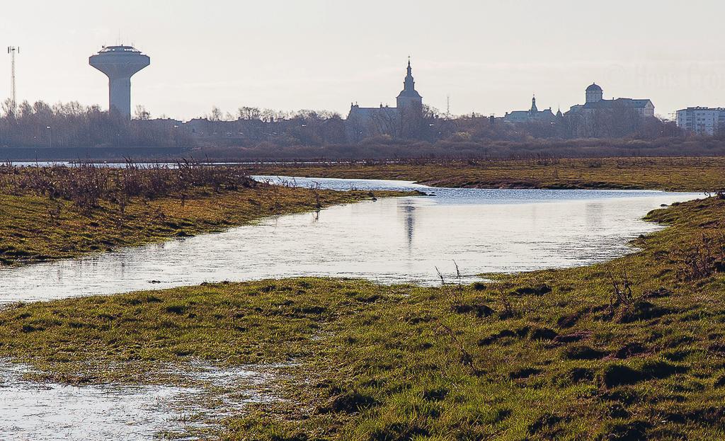 Strandängsfåglar längs nedre Helgeån i Kristianstads Vattenrike 2012 kort rapport Text: Hans Cronert Hur mår egentligen strandängsfåglarna i Kristianstads Vattenrike?