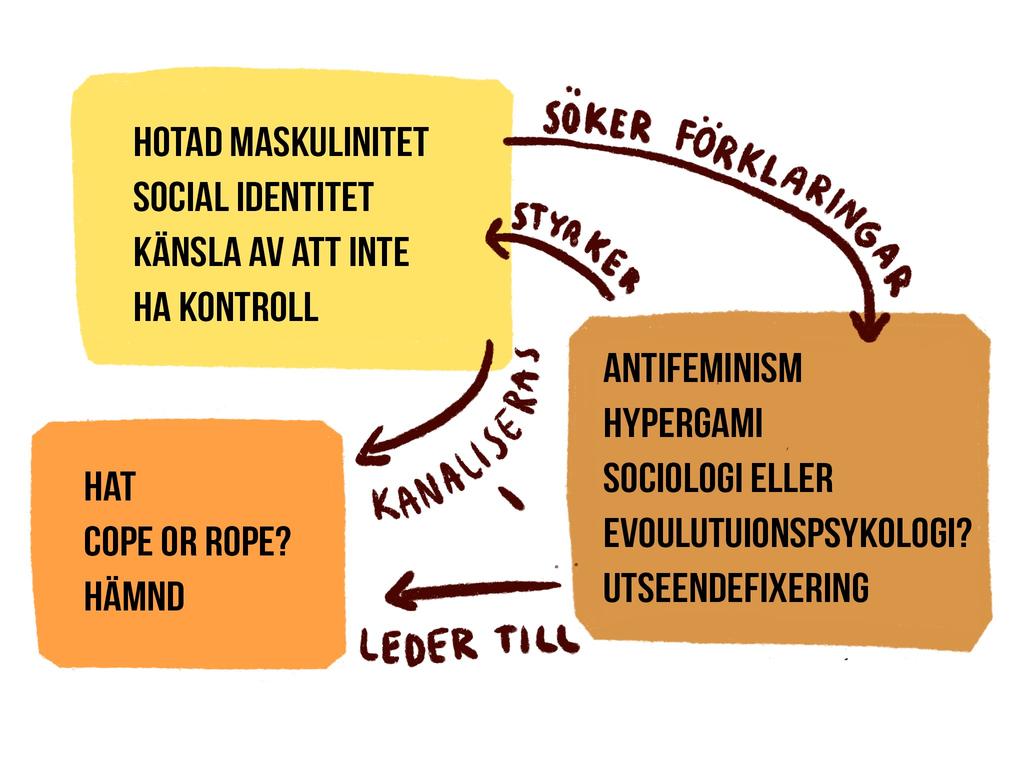 6.5 Sammanfattning Sammanfattningsvis så har jag delat upp incelsens världsbild i tre olika delar: normer och grundförutsättningar, ideologi och slutsatser i diskursen.