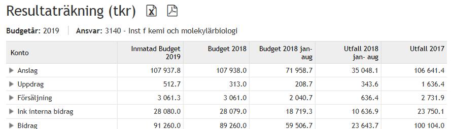 Den första fliken som du ser när uppgiften Budget konto öppnas är Resultaträkningen.