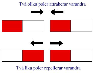 saker lyfts Magneter har en sydpol och en
