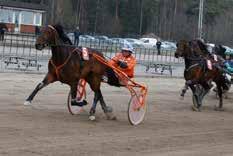 nyhetsbörsen mars2014 140306 Ny seger för Kajsa och VästerboMagnifique Kajsa vinner lätt. Foto: Thomas Gustafsson/Foto-Mike Kajsa Frick noterades för en seger på Gävletravet idag.