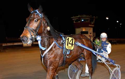 nyhetsbörsen mars2014 140320 Grym debut av Hagentoy 140322 Crane och Leif avslutade på Romme I tisdags gjorde Hagentoy debut på tävlingsbanan.