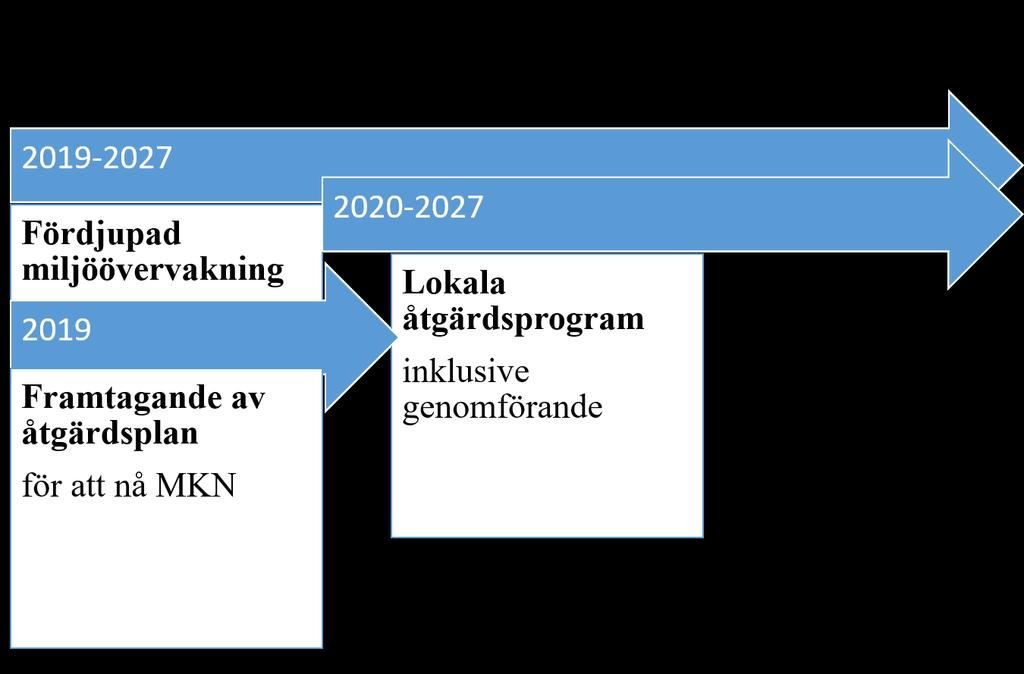 Figur 11. Tidslinje för de olika delmomenten eller processerna i åtgärdsplansarbetet.