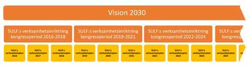 Hur förverkligar vi visionen? Visionen beskriver ett framtida idealläge för högskolan 2030.