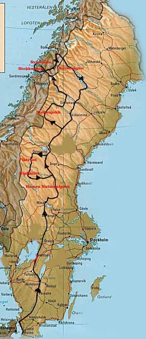 Bild 2: Kommunerna som deltog i studien Kiruna Överkalix Vännäs Timrå Arvika Storfors Lekeberg Bollebygd Nässjö Hylte Helsingborg Skurup Falun Sandviken Sala Stockholm (Hässelby- Vällingby,