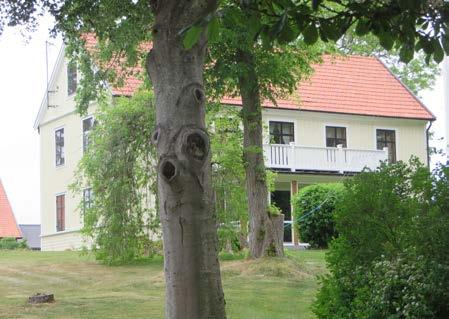 BILDER