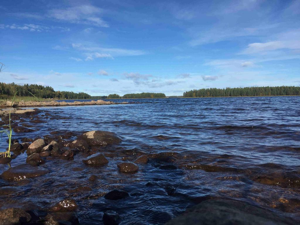 Jag/vi är medvetna om att säljaren har fri prövningsrätt liksom att vi tagit del av fastighetsbeskrivningen samt informationen i denna budblankett.
