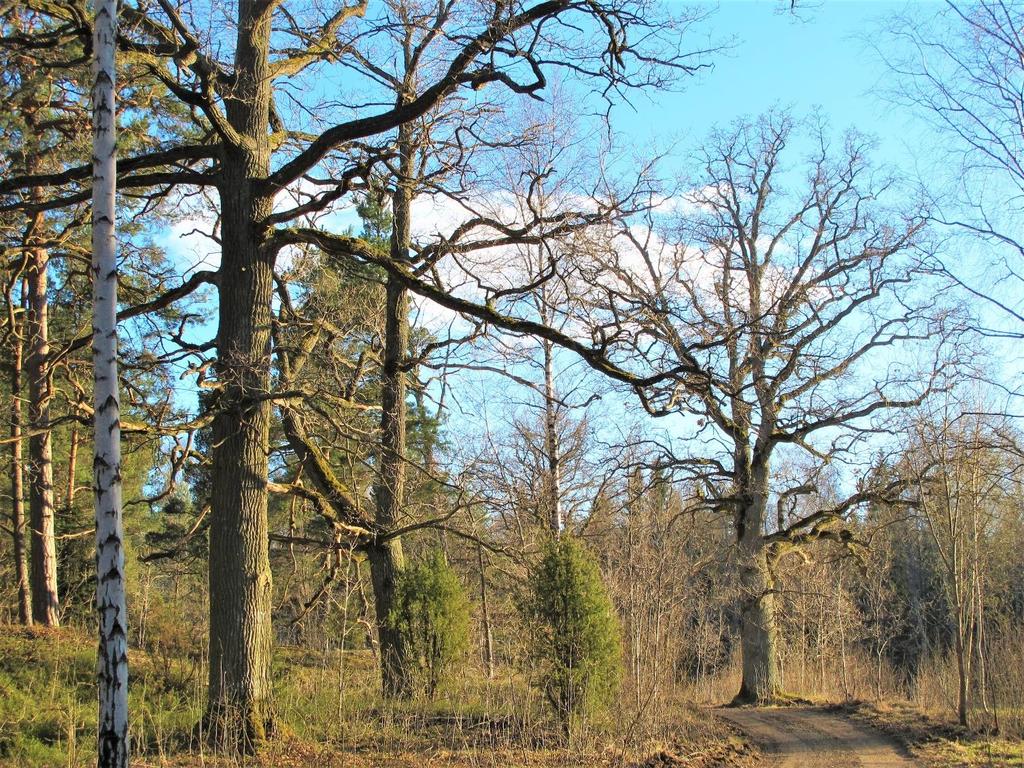 Gröna kilar i Oxelösunds kommun Miljö- och