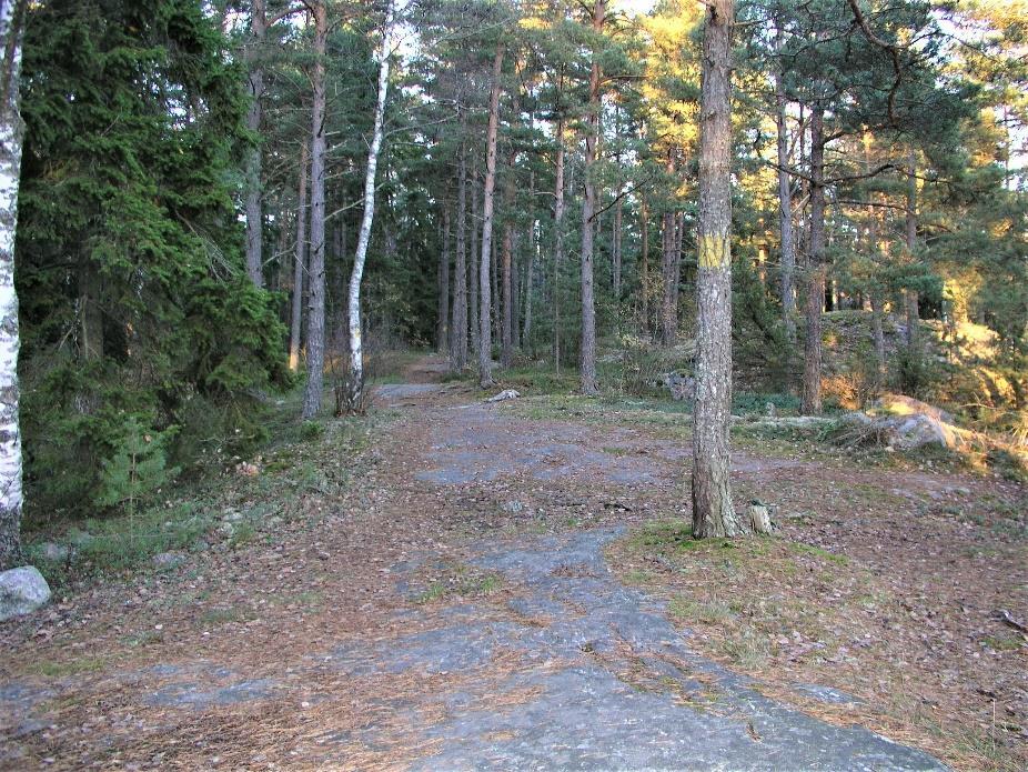 vägar och vägkanter för sin spridning från Jogersö till fastlandet.