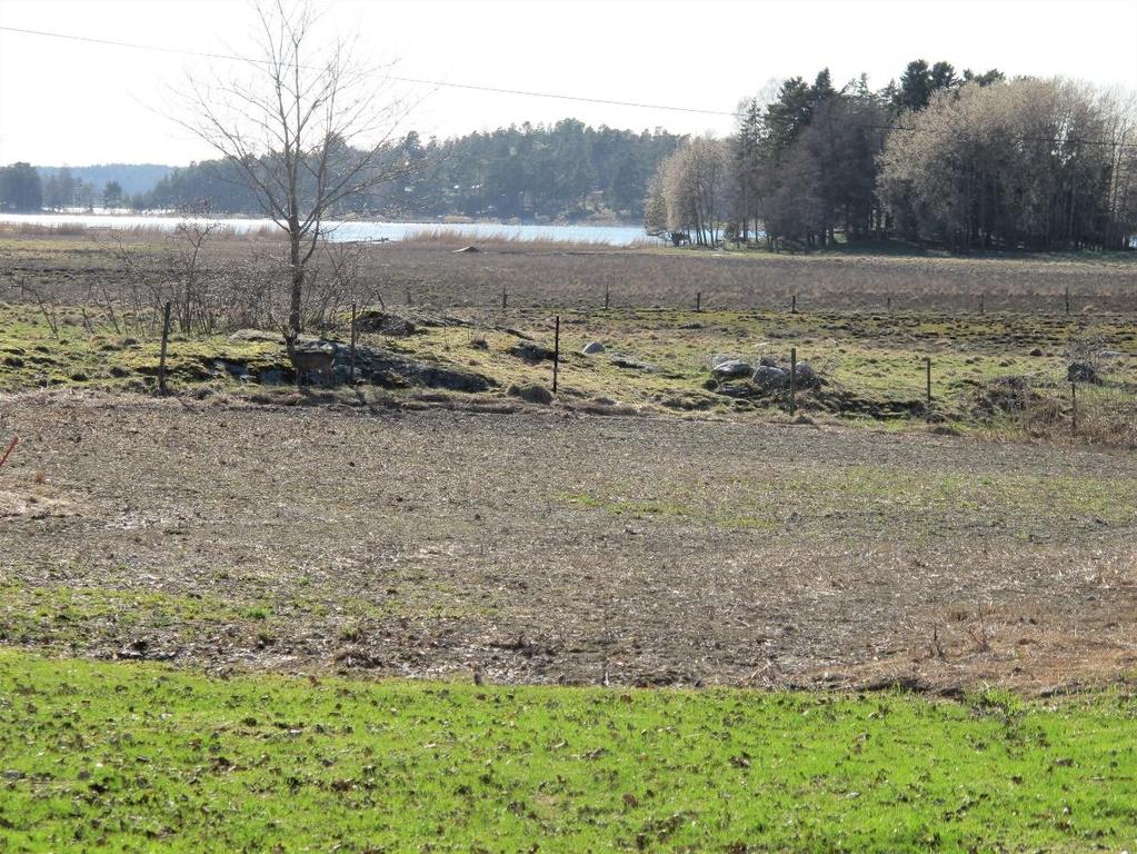 Området har stor betydelse som fågellokai och under den senaste 20-årsperioden har här observerats inte mindre än 140 fågelarter.