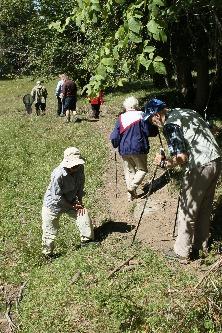 På grund av händelser i berggrunden för hundratals miljoner år