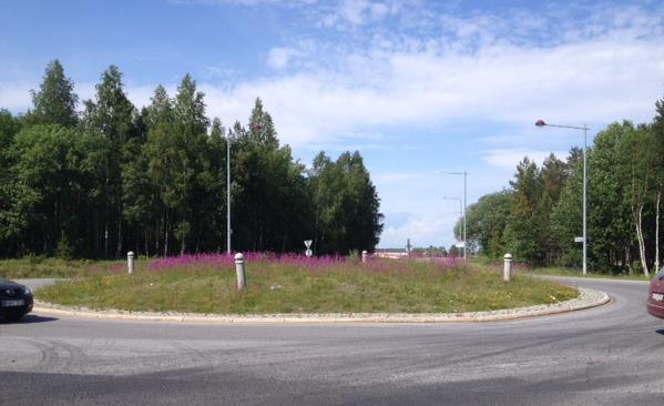 den tid det tar för dem på planteringsytor med mer fuktighets- och näringshållande egenskaper. 7. Umeå Ålidbacken/Tvistevägen Koordinater: 63 48'51.77"N 20 18'53.