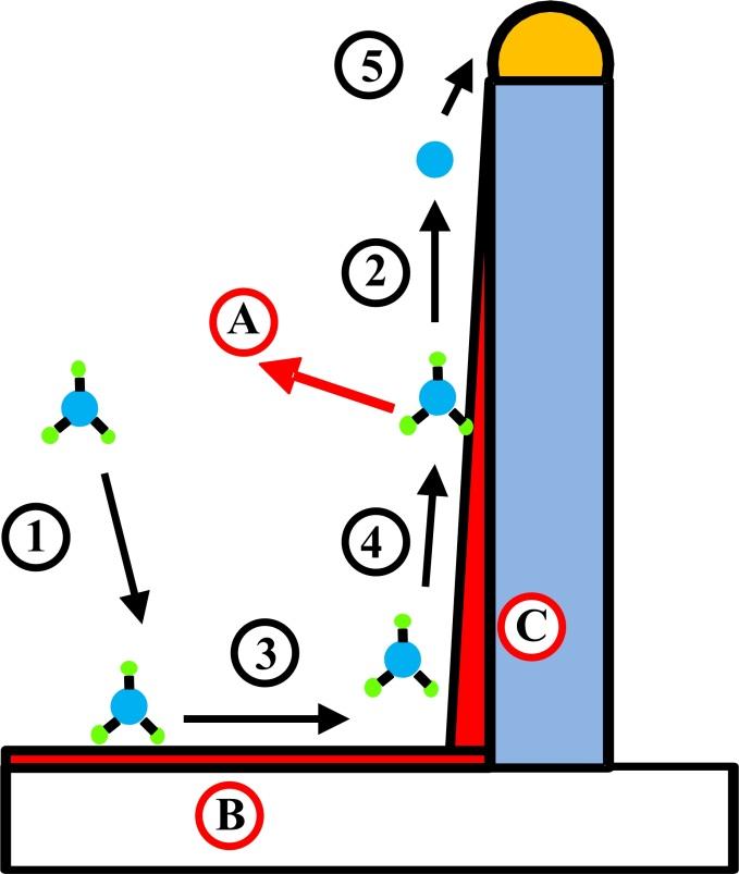 3.3 Mass transport The material for NW growth has to be supplied to the seed particle.