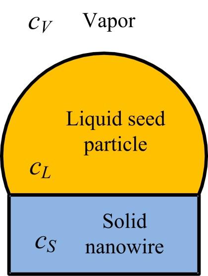 investigated in thin film growth, and depends on dopant, dopant precursor, host material and growth temperature.