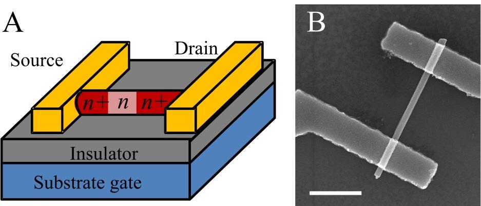 6 Nanowire doping measurements The understanding of NW doping is closely related to the ability to measure the doping.