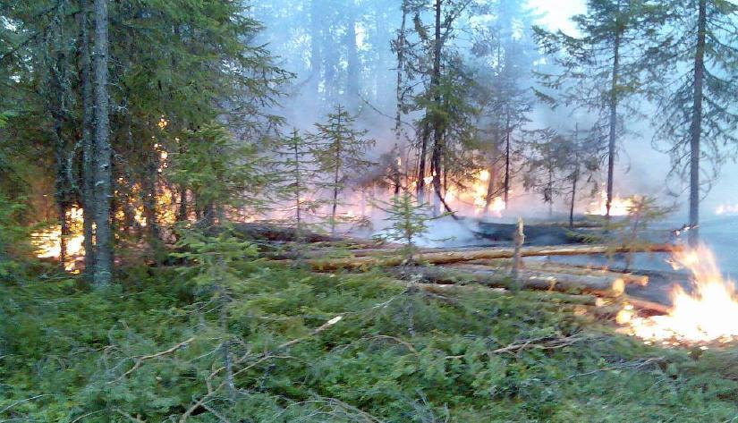 3.6 Spridning Skogsbränder styrs av tre faktorer. De tre faktorerna är bränsle, väder och topografi.