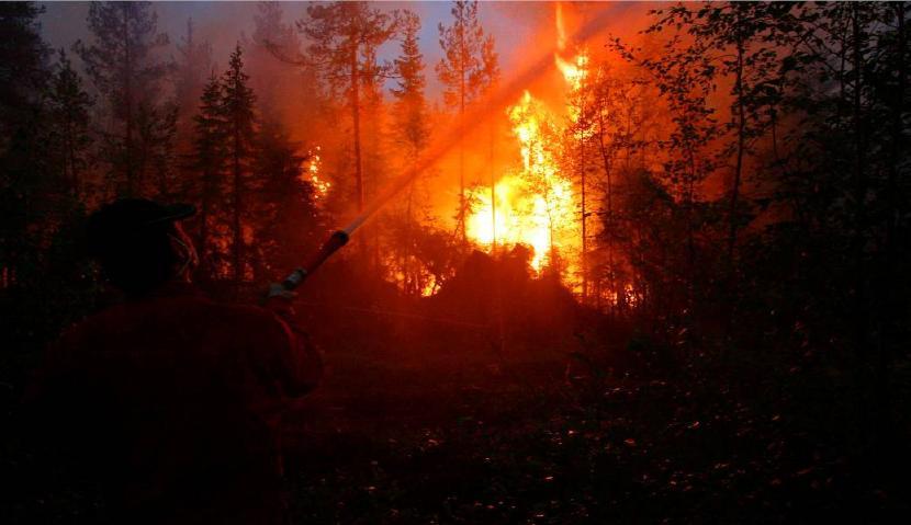 4.2.2 Direkt angrepp Direkt angrepp innebär att räddningstjänsten angriper skogsbranden där den brinner och försöker släcka den.