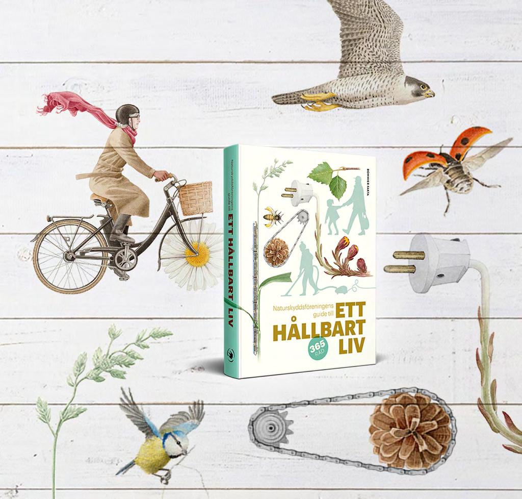 Dieselverkstadens Bibliotek, Marcusplatsen 17, Sickla Torsdag 21. februari kl 19.30 20:30 Fri entré.