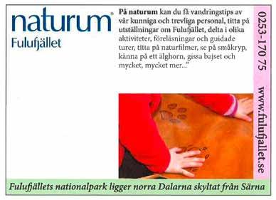 Vår kunninga personal kommer