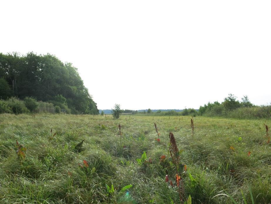 Bakgrund Inre Mälarens skärgård - restaurering och skötsel (MIA-projektet) är ett EU-finansierat projekt som drivs av Länsstyrelsen i Västmanlands län (huvudpartner), Länsstyrelsen i Södermanlands