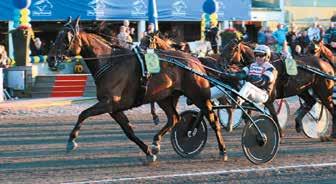 Start 9: Bankod 0 b Kes bussars lopp - Stolopp Ston 0.00-0.000 kr. 0 m. Autostart. PLATS Pris: 0.000-.00-8.00-.00-.0-(.00) kr. Hederspris till segrande hästs ägare.