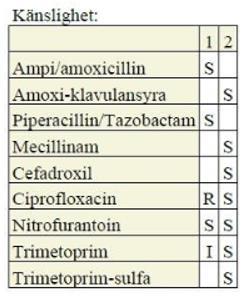 Urinodling (a) Urinodling Bakterieodl, urin Resultat Exempel 1 Exempel