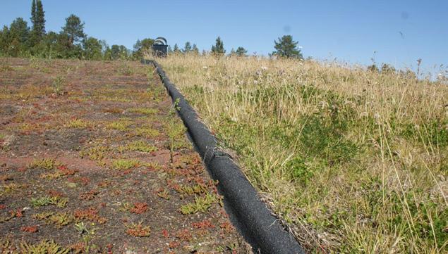 Figurerna visar utsläppet av zink från en plåt i titanzink och en galvaniserad (varmförzinkad) plåt.