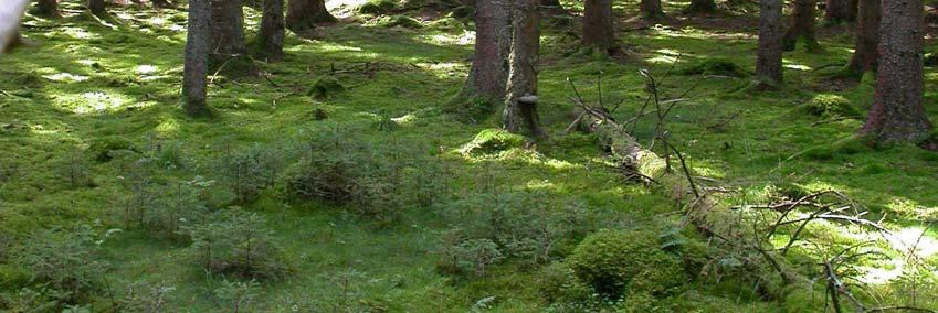 exemplar. Alla arter är vanliga i södra Sverige. 3.