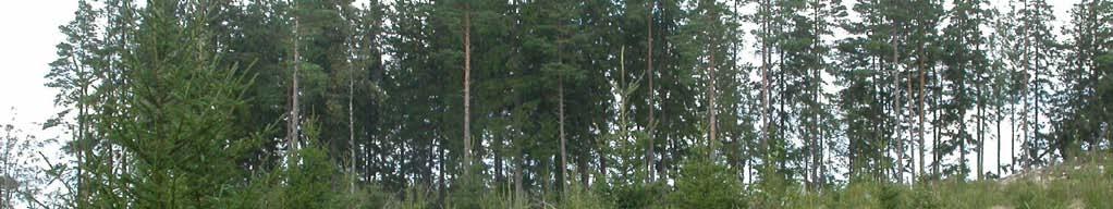 skog som har lång kontinuitet och slutenhet kan uppväga det faktum att området är kraftigt påverkat av skogsbruk och saknar någon längre tids kontinuitet i