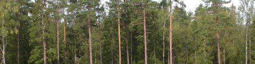 4). Av övriga lövträd finns ett visst inslag