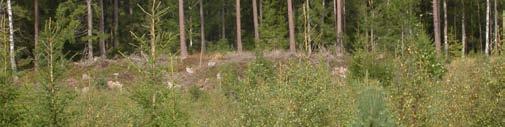gårdar) och asp (kring gårdar), samt klibbal