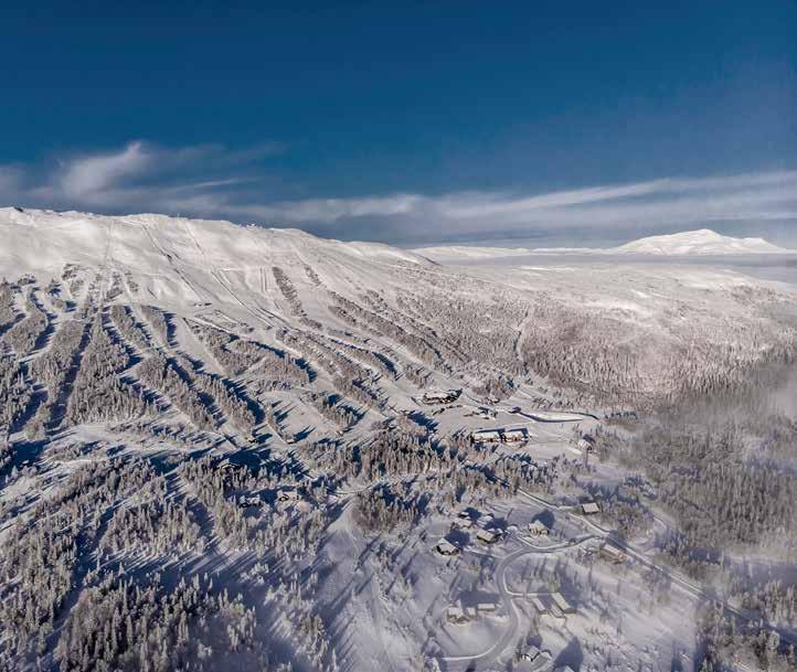 KONTAKT VAKNA I Trillevallen Sven-Olof Hedin, Skidområdes- fastighetsansvarig 070-328 58 65 svenne@trillevallen.com Christian Histrup, tomtförsäljning 042 4901315 ch@trillevallen.com INFO www.