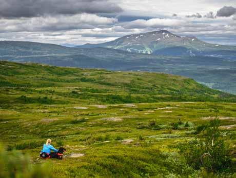 medan de andra i sällskapet utforskar den alpina skidanläggningens utmaningar.