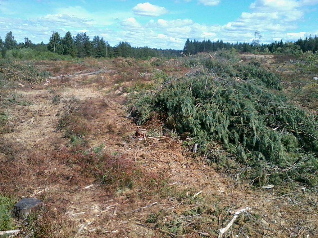 4. Allmänt om naturförhållandena 4.1. Geografi och bebyggelse Utredningsområdet är knappt 46 ha stort och utgörs av blockrik skogsmark med små partier med berg i dagen. Inslaget av våtmark är stort.