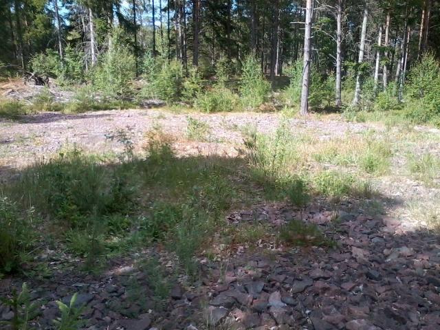 Yta med krosssten Objekt-ID Delområde13 Inventeringsdatum 2018-06-29 Biotoper Yta med krossten Naturtyper Täkt och upplag 4 Inventerare Thomas Appelqvist, Pro Natura Areal 0,1 ha Natura 2000