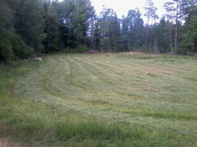 Foto: Thomas Appelqvist Beskrivning En liten åker som nu används som vall. I kanten finns en del hagmarsksväxter som sommarfibbla, åkervädd, svinrot, liten blåklocka och vitmåra.