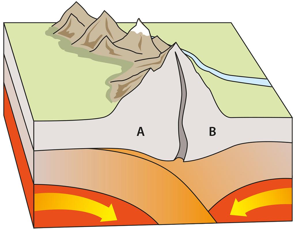 Bergskedjor kan bildas när plattor rör sig och krockar genom att jordskorpan pressas ihop och veckas. Vulkaner Om magma kommer upp till jordytan kallas det lava.