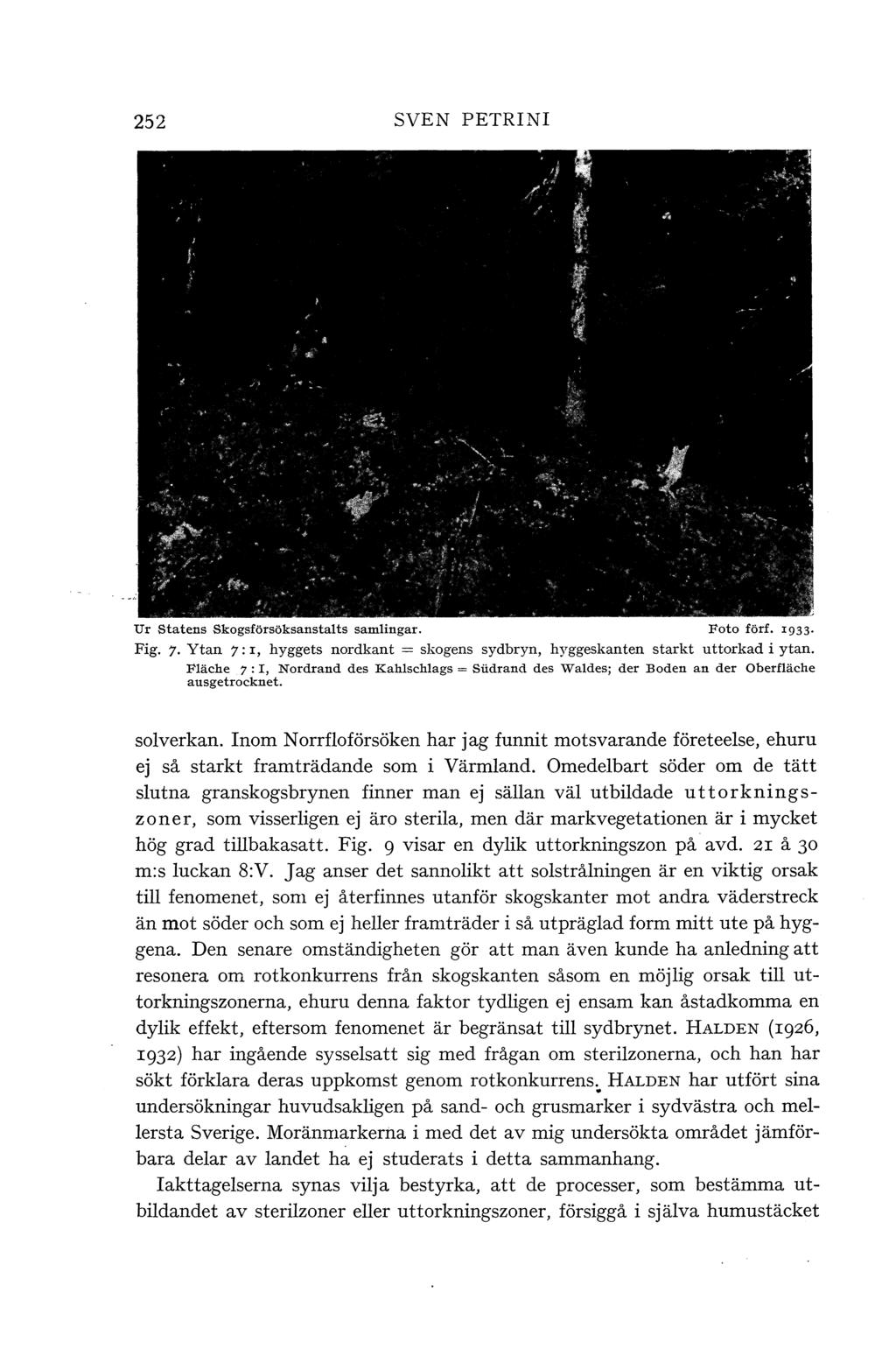 252 SVEN PETRINI Ur statens skogsförsöksanstats samingar. Foto förf. 1933 Fig. 7. Ytan 7: r, hyggets nordkant = skogens sydbryn, hyggeskanten starkt uttorkad i ytan.