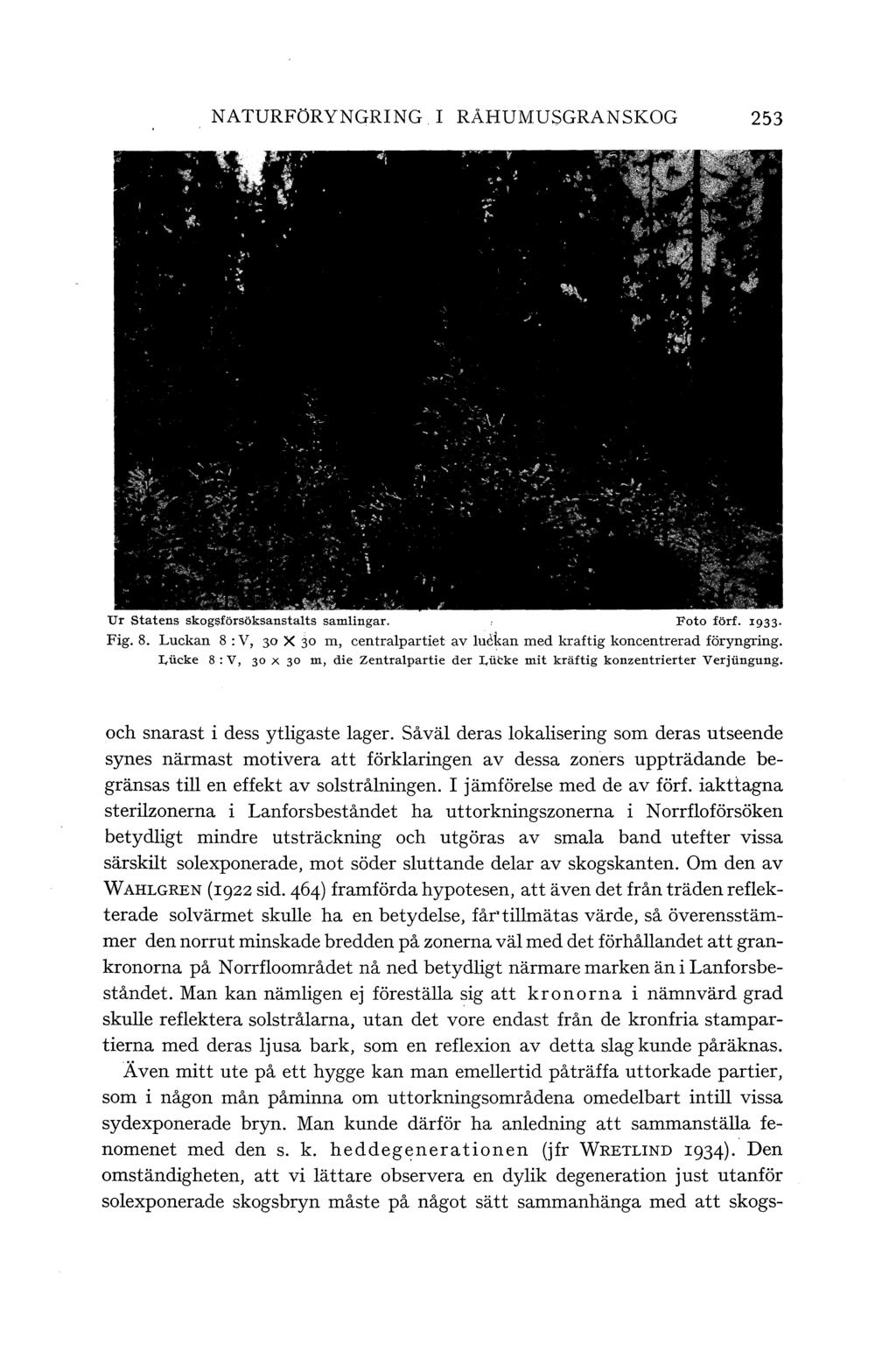 NATURFöRYNGRING I RÅHUMUSGRANSKOG 253 Ur Statens skogsförsöksanstats samingar. Foto förf. 1933 Fig. 8. Luckan 8 :V, }O X 30 m, centrapartiet av uf'\kan med kraftig koncentrerad föryngring.