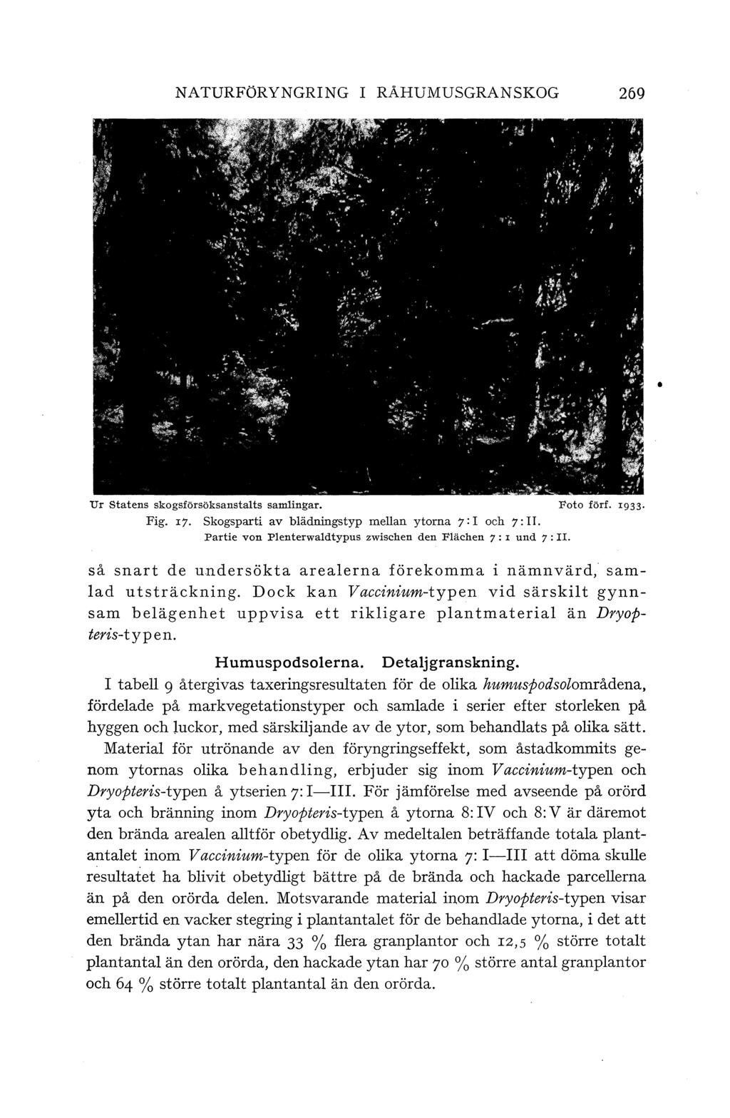 NATURFÖRYNGRING I RÅHUMUSGRANSKOG 269 Ur statens skogsförsöksanstats samingar. Foto förf. 1933. Fig. 17. Skogsparti av bädnigstyp mean ytorna 7: I och 7: II.