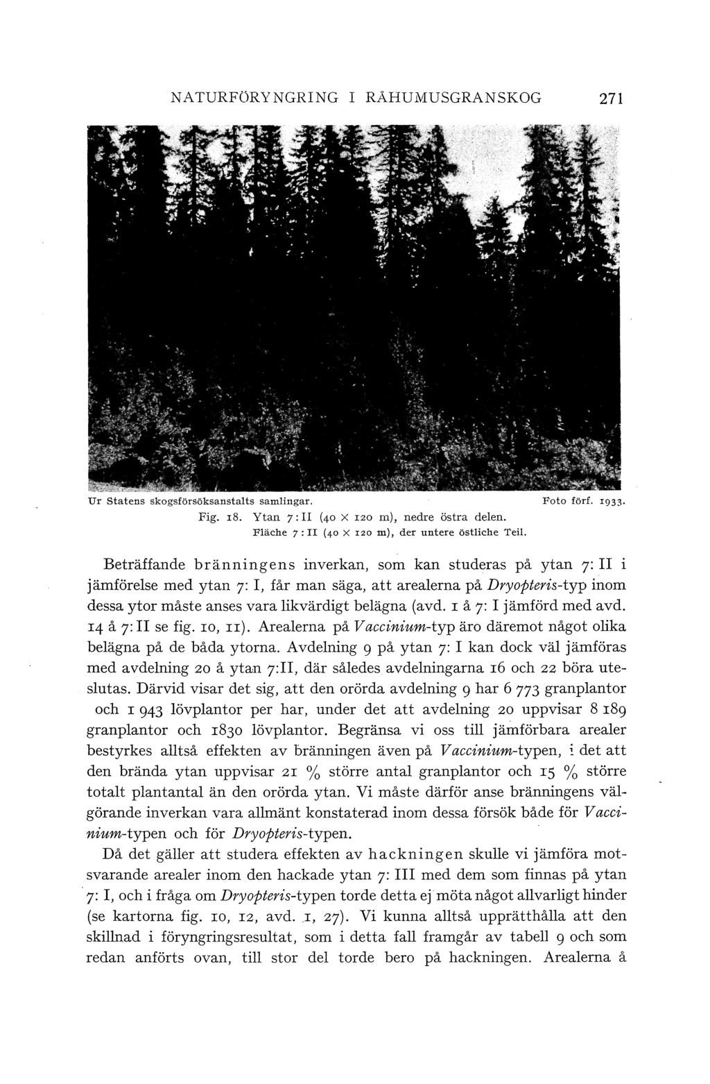 NATURFÖRYNGRING I RAHUMUSGRANSKOG 271 Ur Statens skogsförsöksanstats samingar. Foto förf. I933 Fig. 18. Ytan 7: I (40 x 120 m), nedre östra deen. Fäche 7 :II (40 x rzo m), der untere östiche Tei.