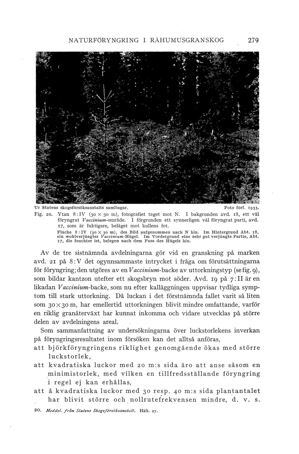 NATURFÖRYNGRING I RAHUMUSGRANSKOG 279 Ur Statens skogsförsöksanstats samingar. Foto förf. 1933. Fig. zo. Ytan 8: IV (30 x 30 m), fotografiet taget mot N. bakgrunden avd.