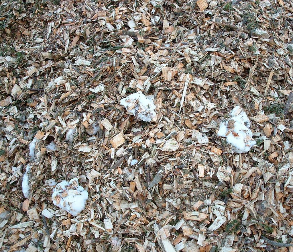 Sampling errors: Impurities Snow and ice are typical impurities in the Nordic