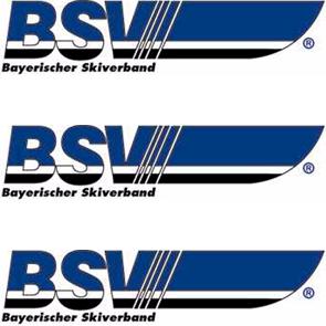 GROSSHOLZHAUSEN 133,42 9 WAGNER, Isadora 2006 BSV-ASV RG BURIG MINDELHEIM 120,77 10 HAURY, Antonie 2006 BSV-MU SC STARNBERG 120,39 11 MAURER, Vivian 2006 BSV-IG SC ROSENHEIM 90,30 12 SCHMID, Judith