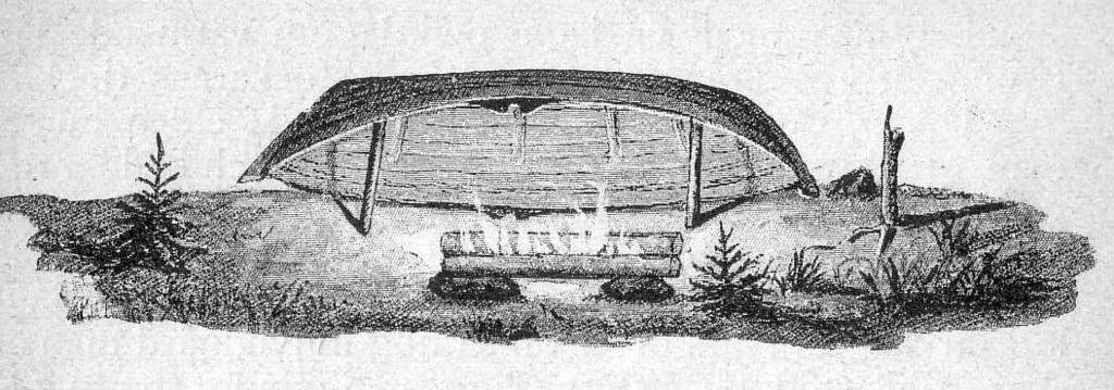 NYINGS Jul-läsning natten i skogen Årets julberättelse är hämtad ur boken Svenska Jakten - Praktisk hjälpreda för unga jägare. Detta är bara ett kort avsnitt ur den kommande årsboken 2009!