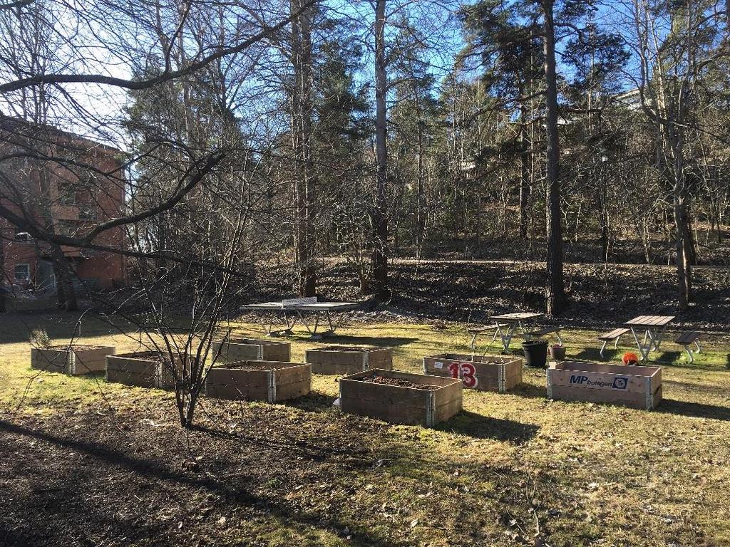 Sida 9 (42) Pingisbord, bänkbord och odling i pallkragar placerade på trädbevuxen kvartersmark invid vändplanen på Elsa Beskows gata. Fastigheten ägs av Stockholm stad.