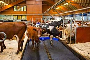 Erbjudandet gäller till 2019-04-31. DeLaval har ett komplett sortiment av utgödslingar med produkter av bra kvalitet. Passa på att göra arbetet under betesperioden.