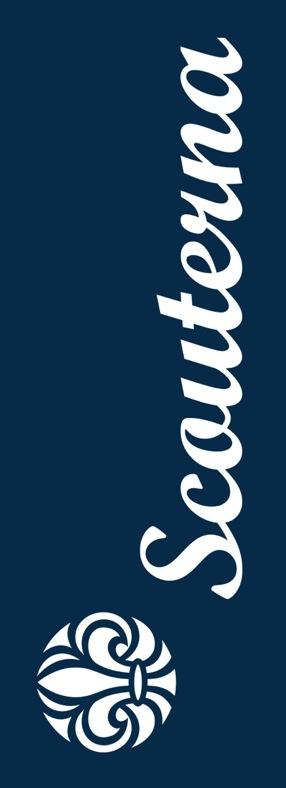 ...7 INBJUDAN DISTRIKTSFORUM... 8 INBJUDAN LEDARE TILL VIKEN... 9 SOMMARENS LÄGER PÅ VIKEN... 10 INBJUDAN TILL LÄGER MED SKARA SCOUTKÅR.